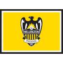 Wellington Phoenix Edible Icing Image - A4